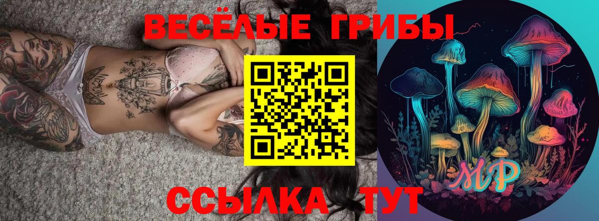 Котлас  Галлюциногенные грибы мухоморы  купить  сайты  Вход с VPN 